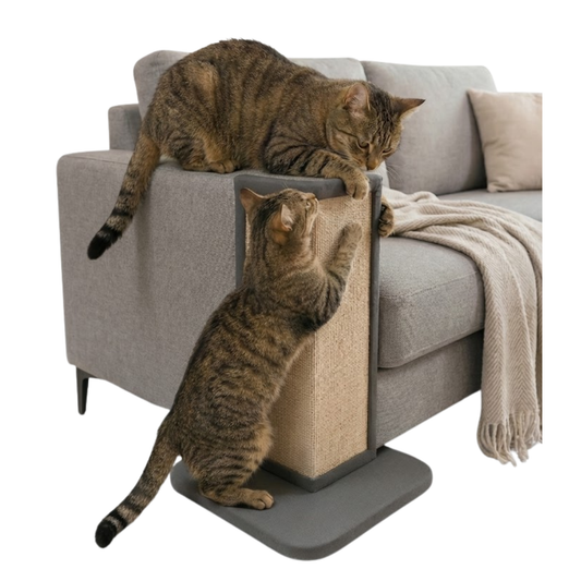 Gray helmet for bikers